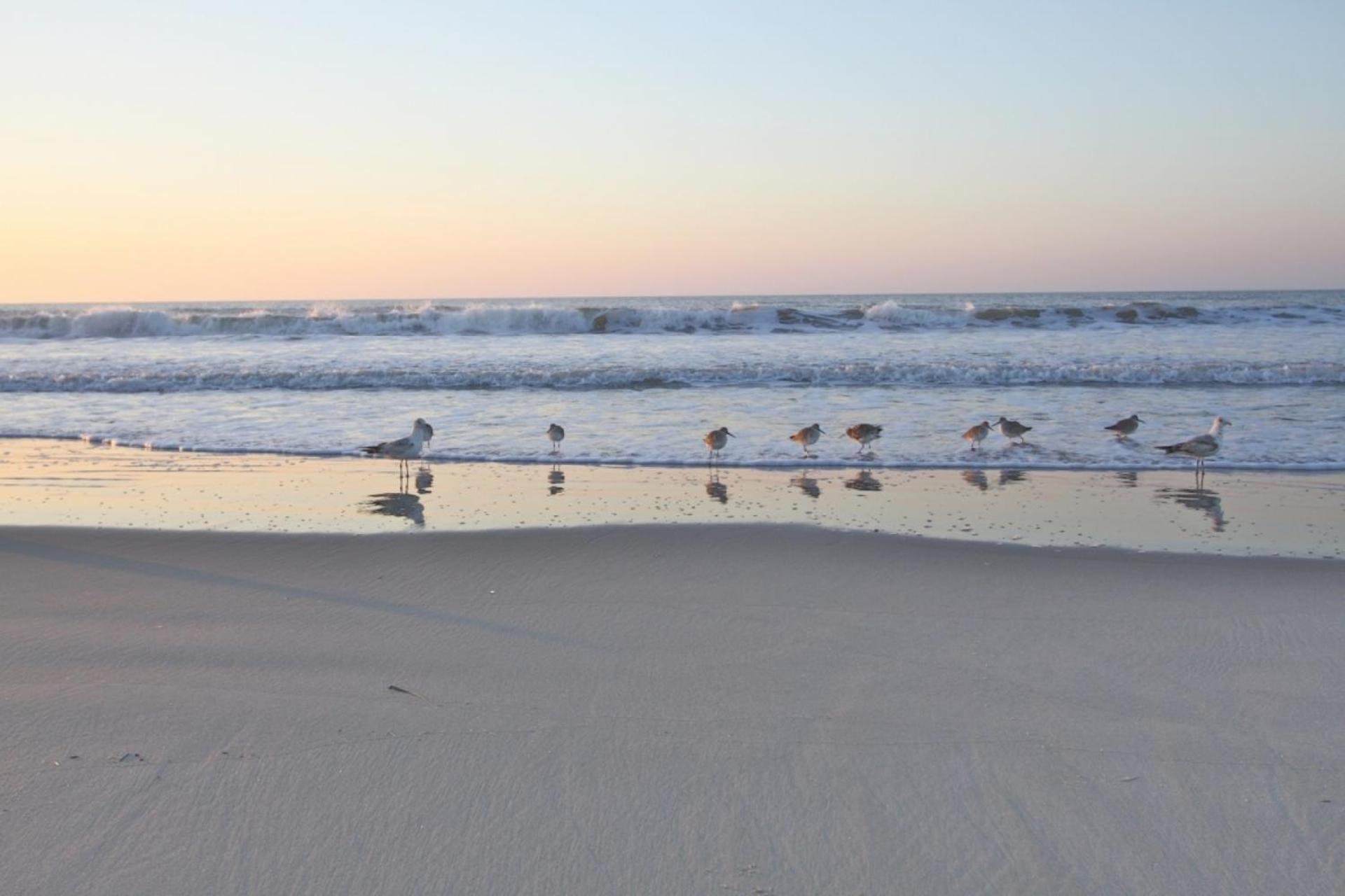 Serenity Folly Beach Kültér fotó